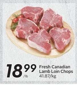 Fresh Canadian Lamb Loin Chops
