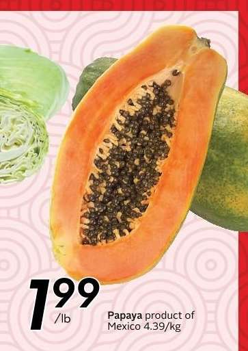 PAPAYA