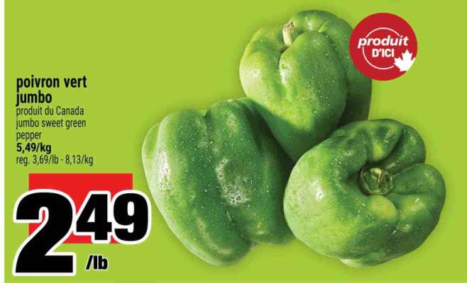poivron vert jumbo