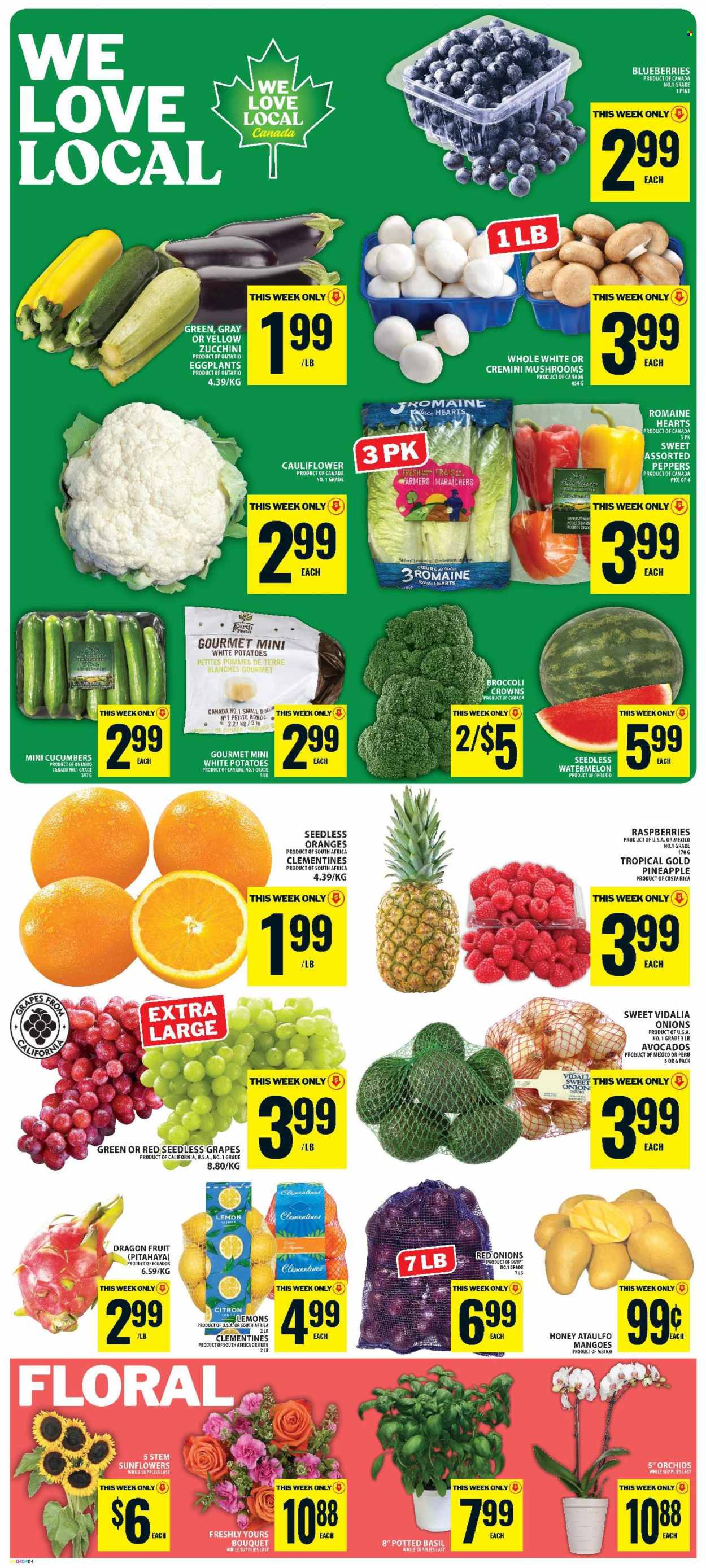 Food Basics flyer  - July 30, 2026 - August 05, 2026. Page 3