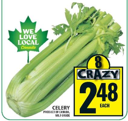 CELERY