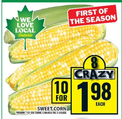 SWEET CORN