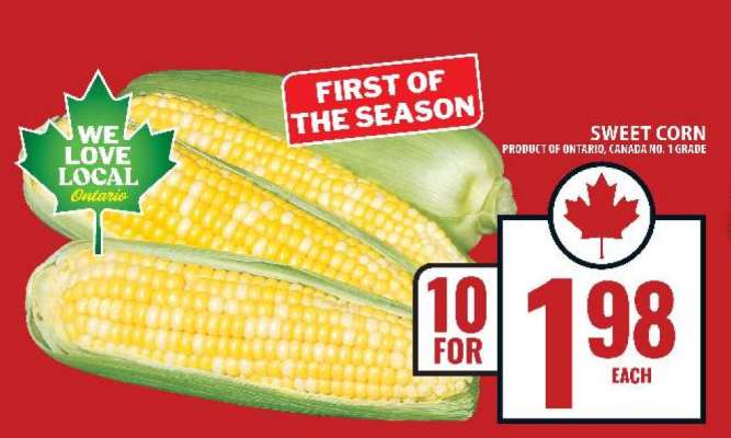 SWEET CORN