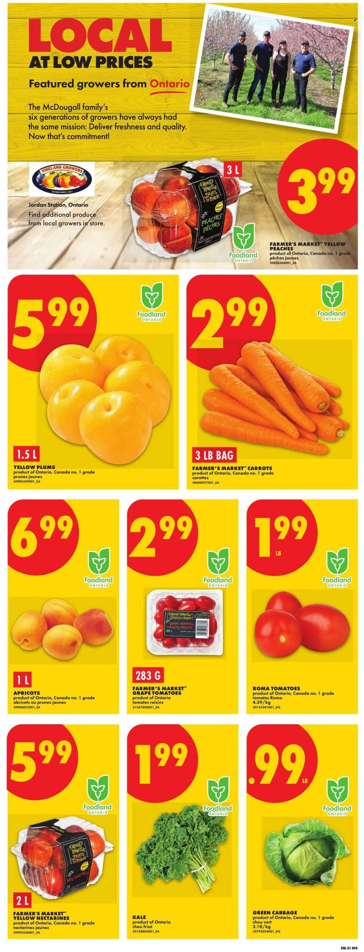 No Frills flyer  - July 30, 2026 - August 05, 2026. Page 3