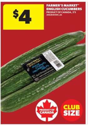 Farmer's Market English Cucumbers