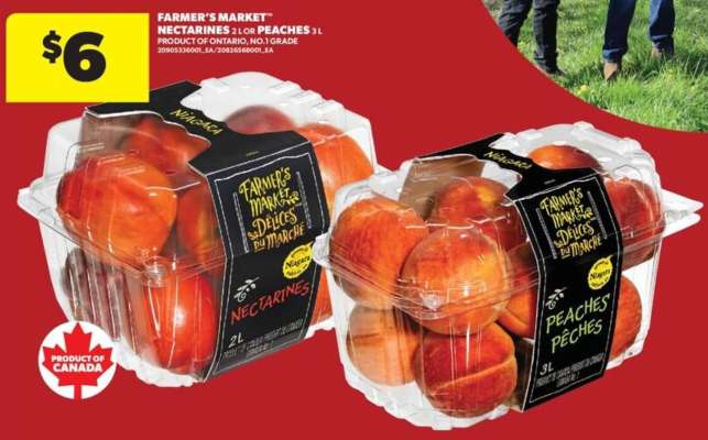 Farmer's Market Nectarines or Peaches