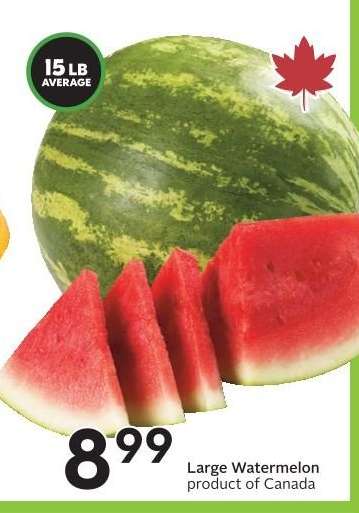 Large Watermelon
