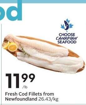 Fresh Cod Fillets from Newfoundland