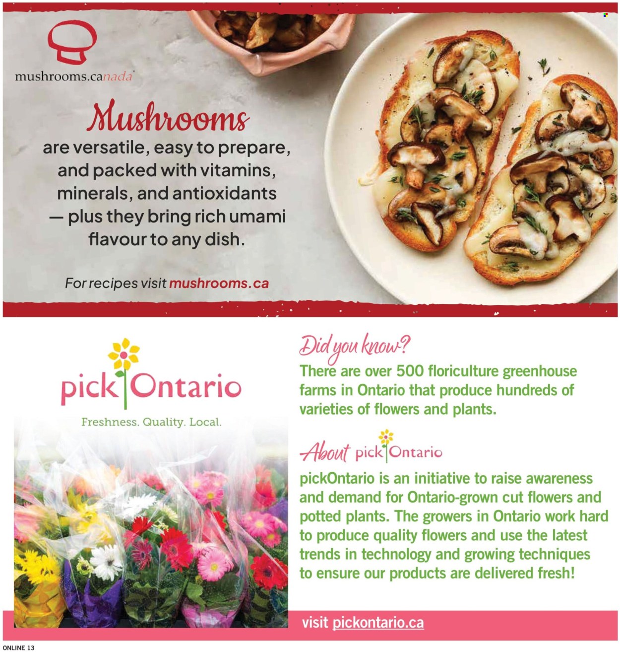Fortinos flyer  - July 30, 2026 - August 05, 2026. Page 14