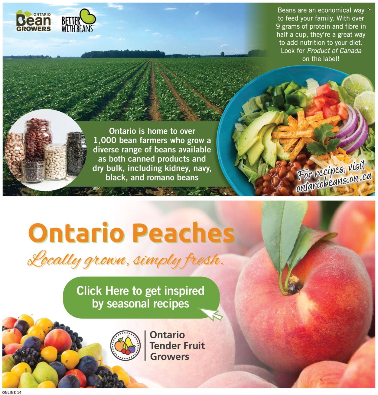 Fortinos flyer  - July 30, 2026 - August 05, 2026. Page 15