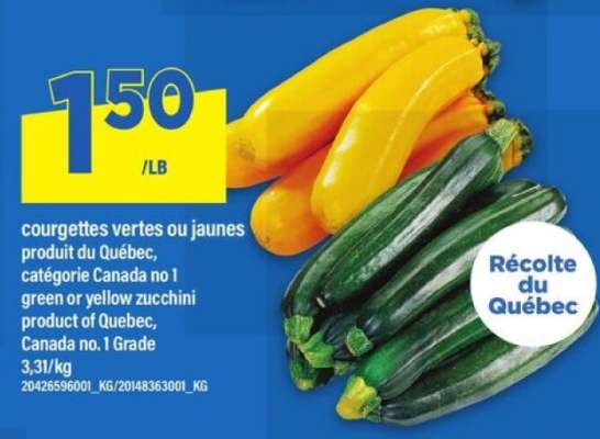 COURGETTES VERTES OU JAUNES