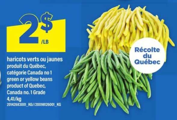 HARICOTS VERTS OU JAUNES