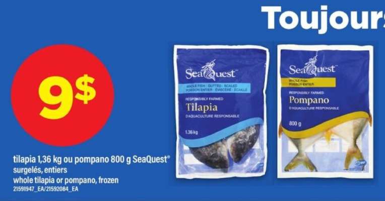 SeaQuest Tilapia ou Pompano