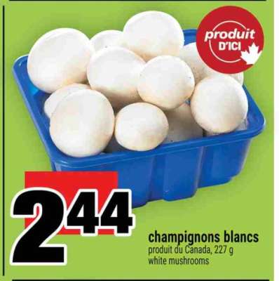 CHAMPIGNONS BLANCS