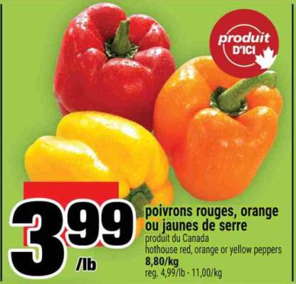 POIVRONS ROUGES, ORANGE OU JAUNES DE SERRE