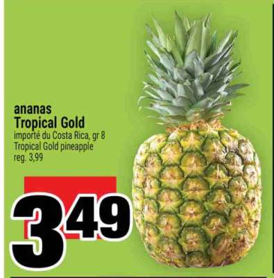 ANANAS TROPICAL GOLD
