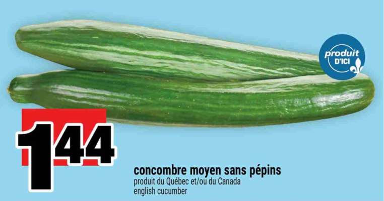 concombre moyen sans pépins