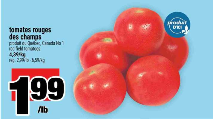 tomates rouges des champs