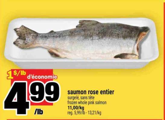 saumon rose entier