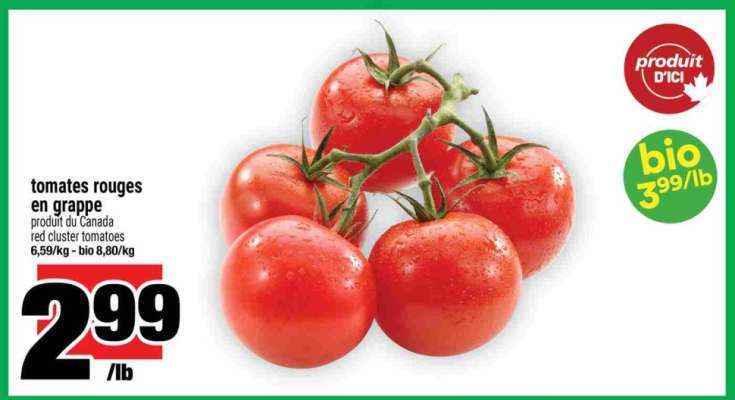 TOMATES ROUGES EN GRAPPE