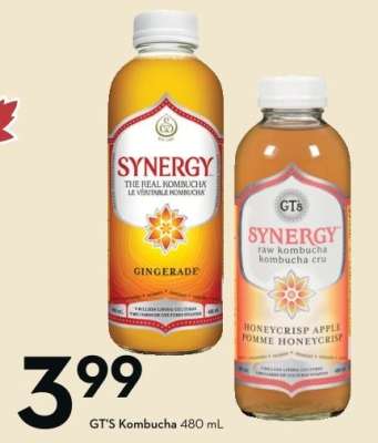 GT'S KOMBUCHA