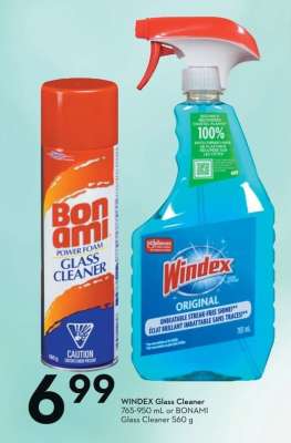 Windex Glass Cleaner