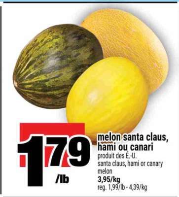 melon santa claus, hami ou canari