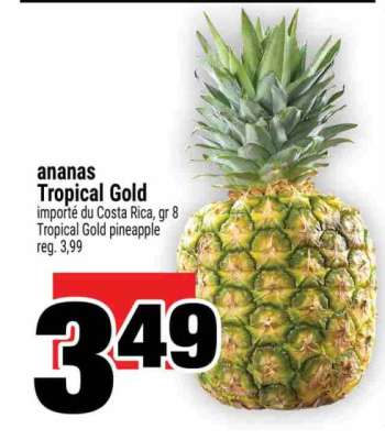 ANANAS TROPICAL GOLD