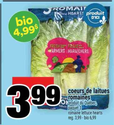 coeurs de laitues romaines