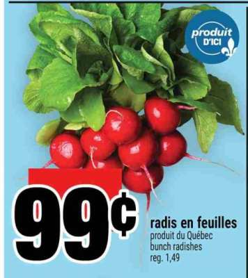 radis en feuilles