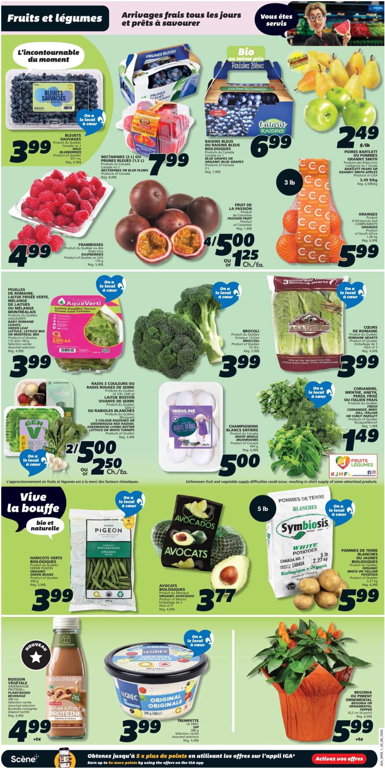 IGA flyer  - August 20, 2026 - August 26, 2026. Page 3