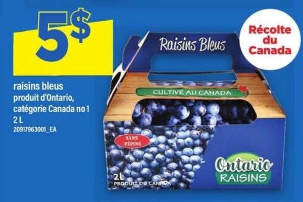 raisins bleus