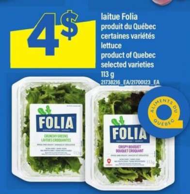 laitue Folia