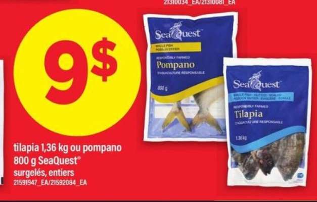 SeaQuest Tilapia ou Pompano