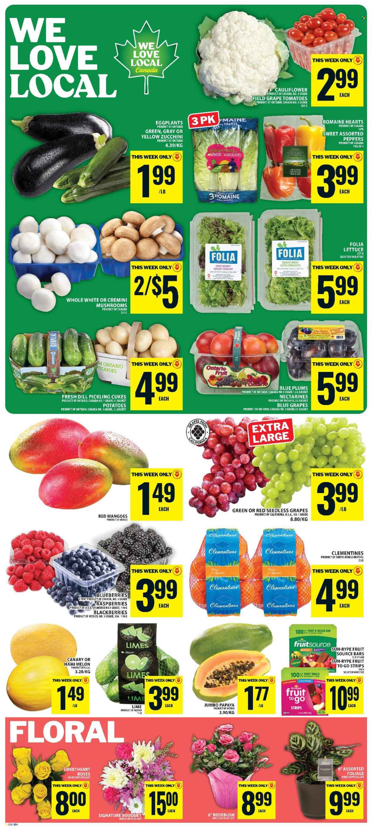 Food Basics flyer  - August 20, 2026 - August 26, 2026. Page 3