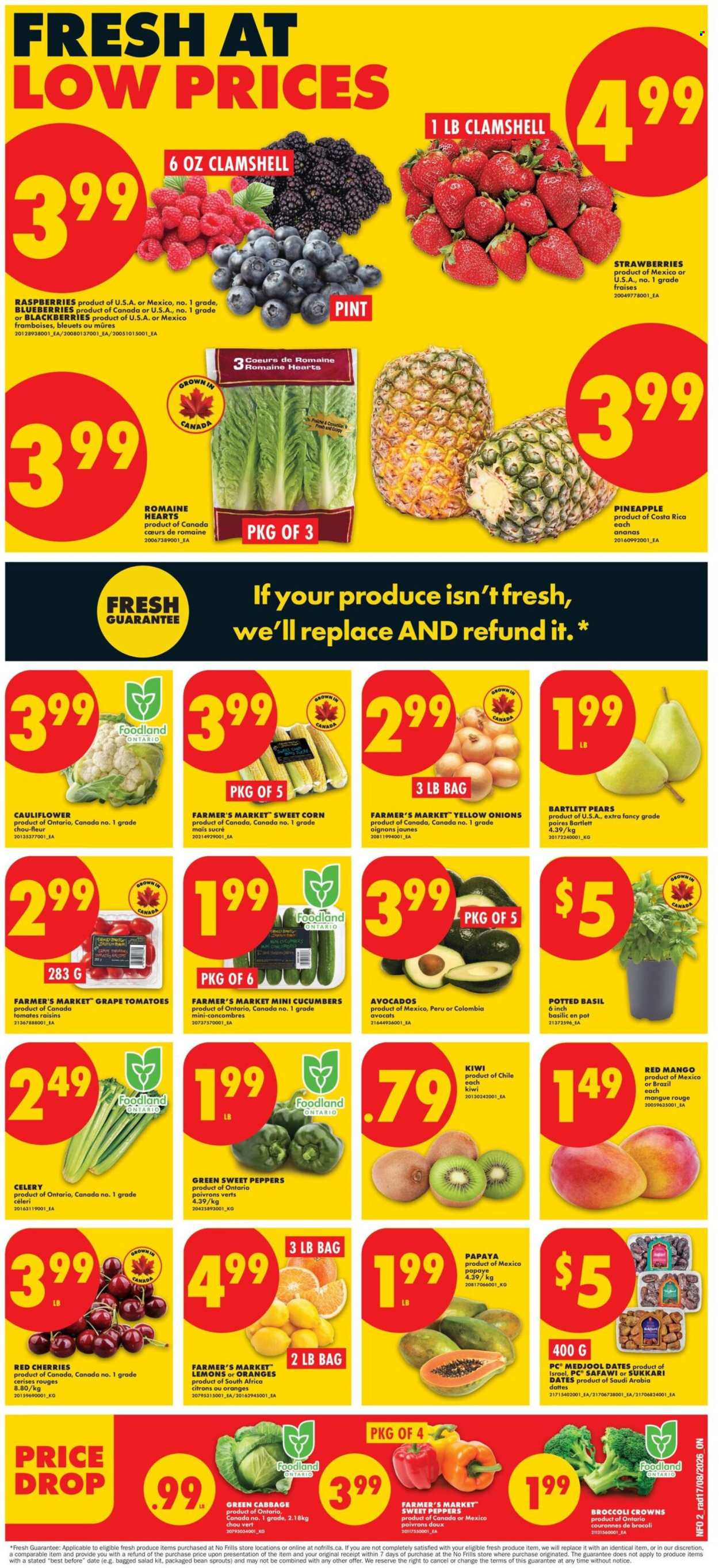 No Frills flyer  - August 20, 2026 - August 26, 2026. Page 2