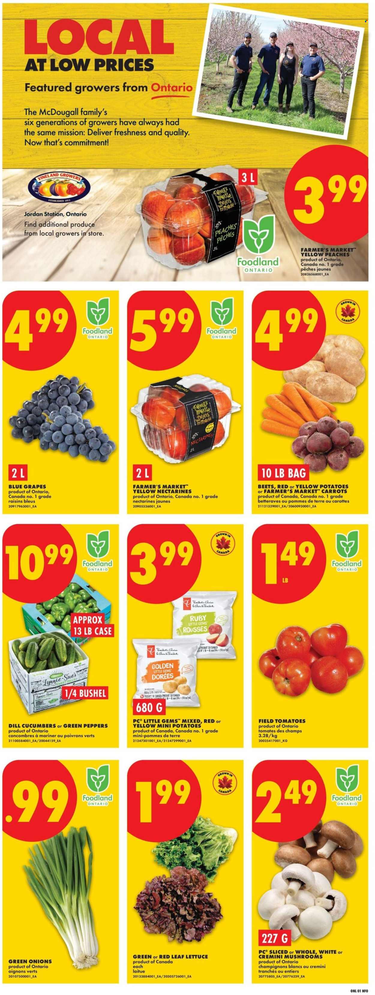 No Frills flyer  - August 20, 2026 - August 26, 2026. Page 3