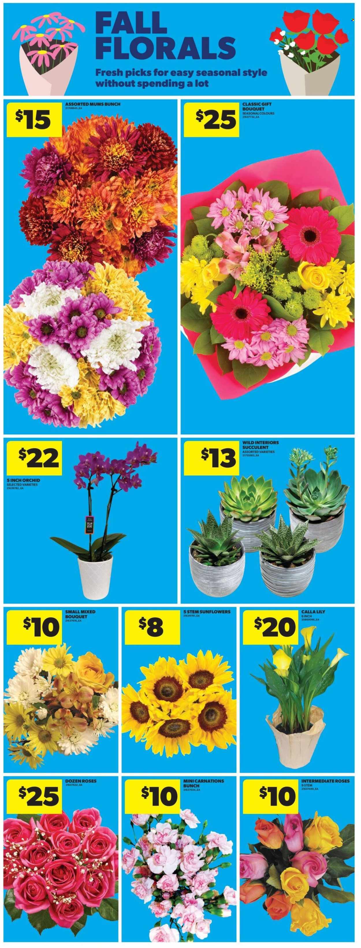 Real Canadian Superstore flyer  - August 20, 2026 - August 26, 2026. Page 14