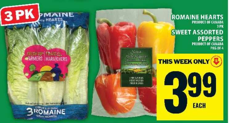 ROMAINE HEARTS