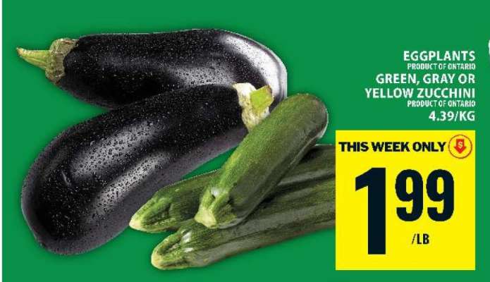 Eggplants or Zucchini