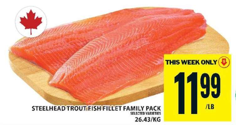Steelhead Trout Fish Fillet Family Pack