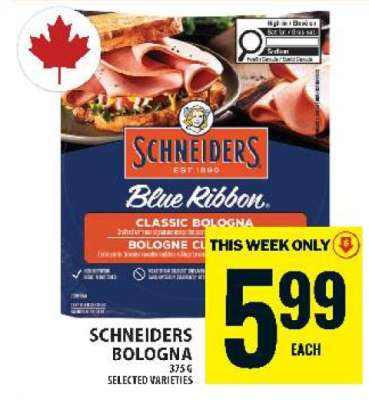 Schneiders Bologna