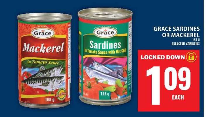 GRACE Sardines or Mackerel