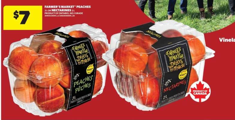 Farmer's Market Peaches or Nectarines