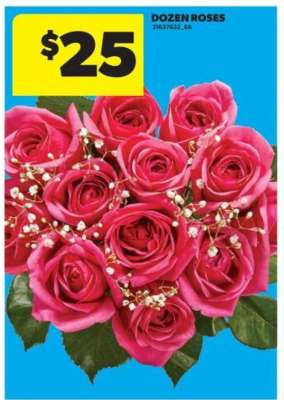 DOZEN ROSES