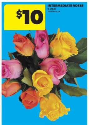 INTERMEDIATE ROSES