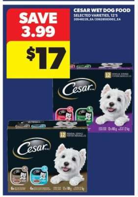 Cesar Wet Dog Food