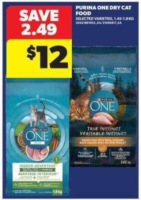 Purina ONE Dry Cat Food