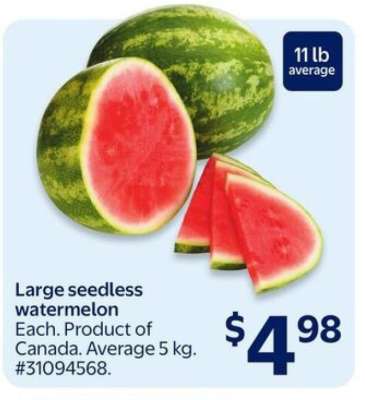 Large Seedless Watermelon
