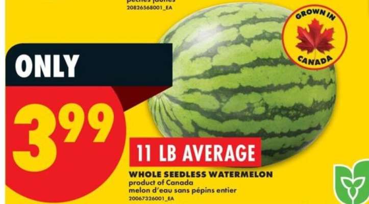 WHOLE SEEDLESS WATERMELON